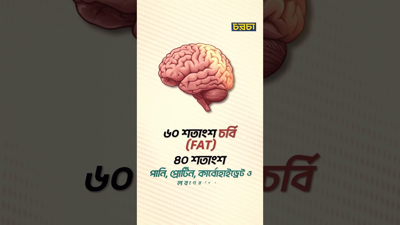 মানুষের মাথায় এত বুদ্ধি কীভাবে এল? জানলে চমকে যাবেন!