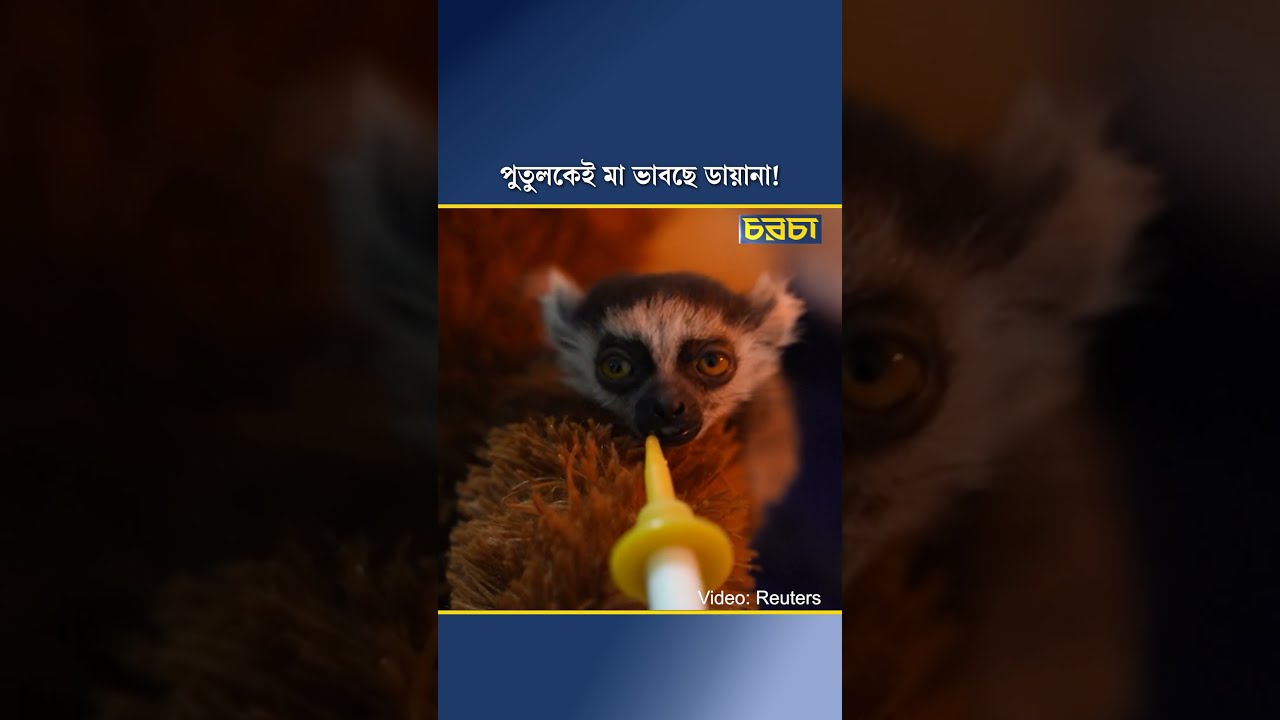 পুতুলকেই মা ভাবছে ডায়ানা!