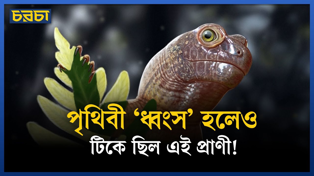 আঙুলের চেয়ে ছোট প্রাণী, দাপিয়ে বেড়িয়েছে পৃথিবী