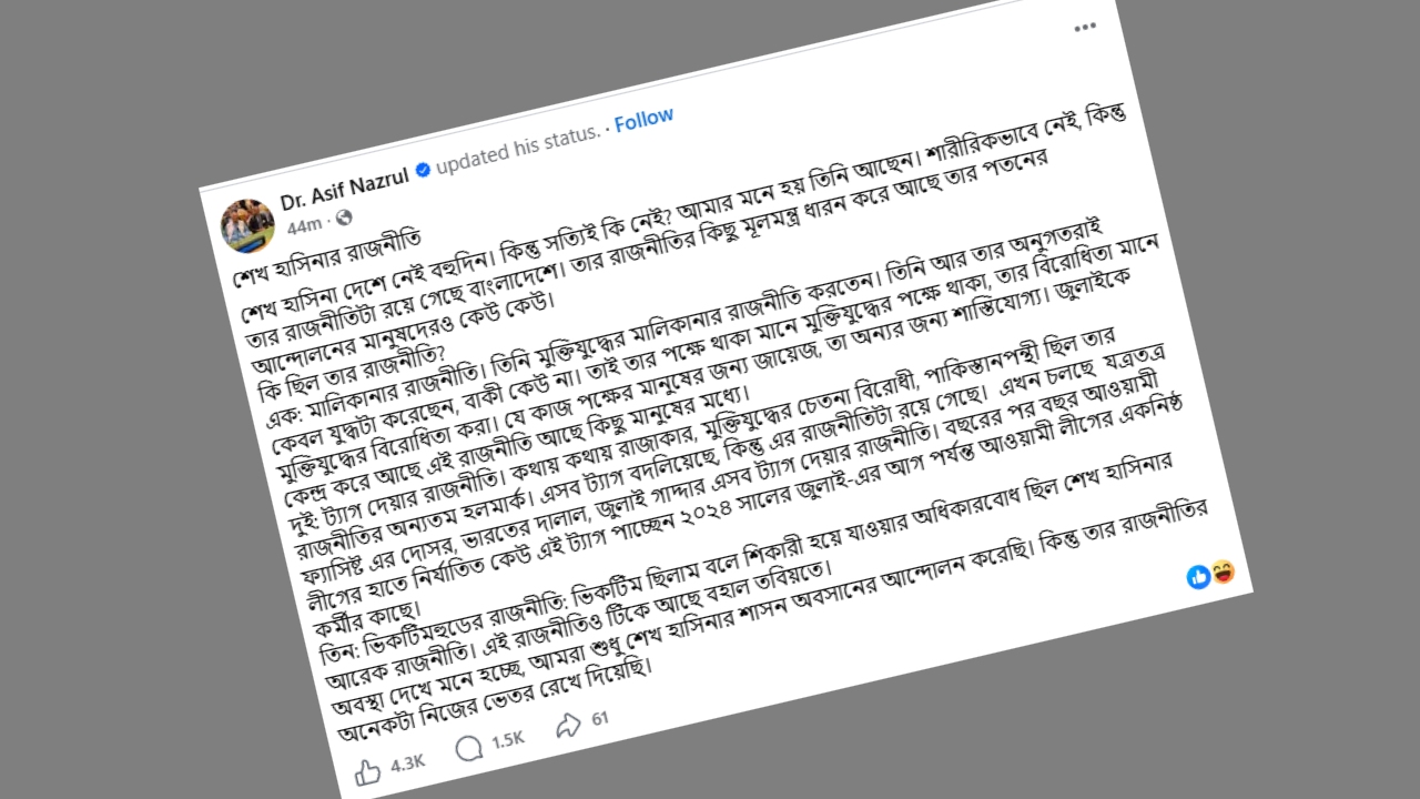 হাসিনা না থাকলেও দেশে তার রাজনীতি রয়ে গেছে: আসিফ নজরুল