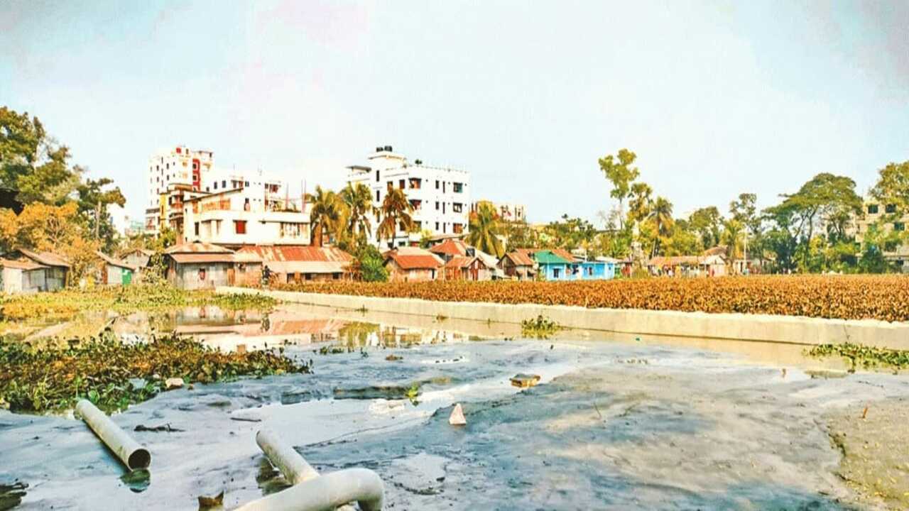 বরিশালে শতবর্ষী লালার দিঘি ভরাটের অভিযোগ