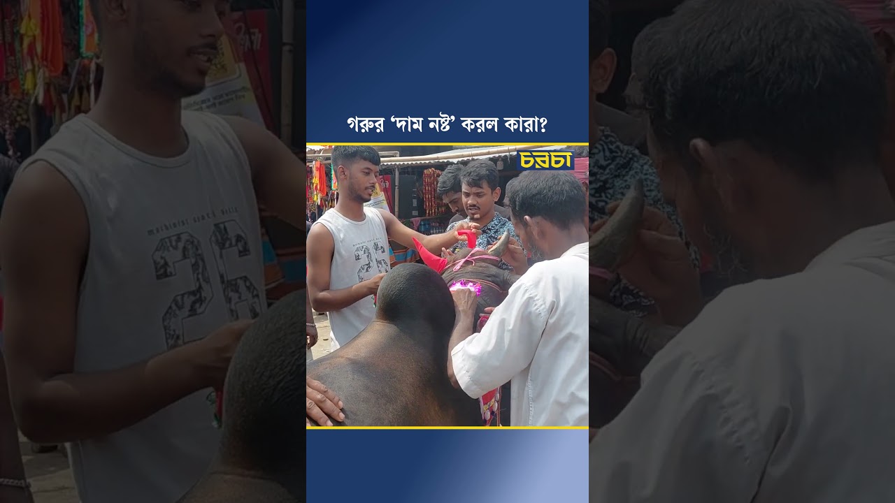 গরুর ‘দাম নষ্ট’ করল কারা?