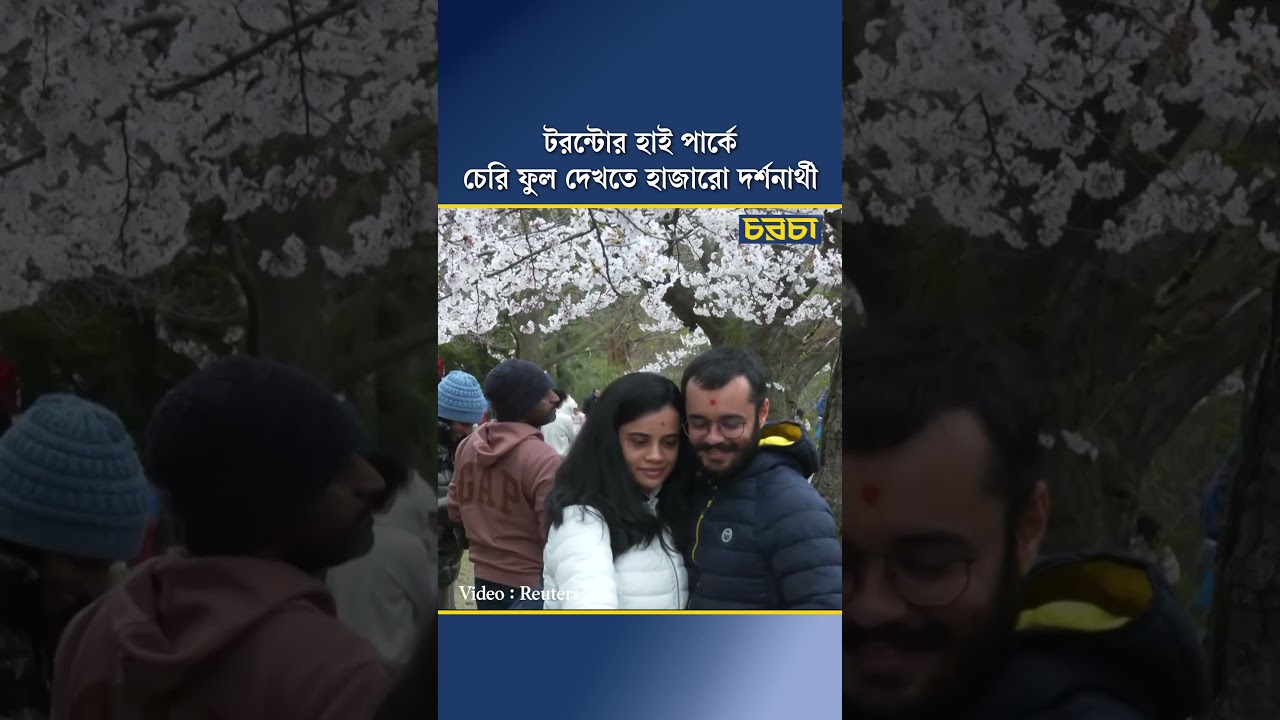 টরন্টোর হাই পার্কে চেরি ফুল দেখতে হাজারো দর্শনার্থী