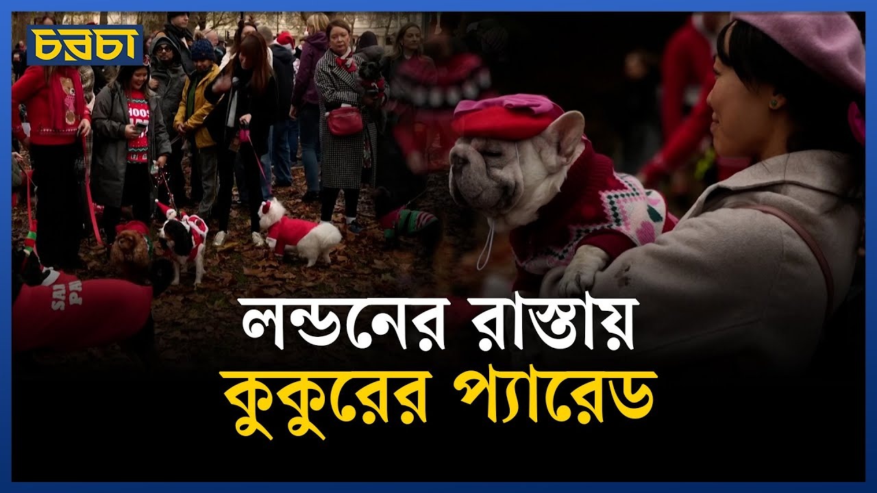 প্রাণীদের নিয়ে সচেতনতায় ব্যতিক্রমী উদ্যোগ