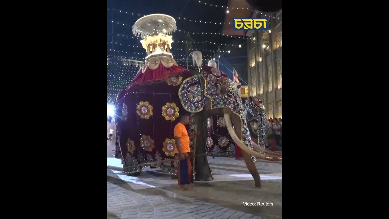 কলম্বোর রাস্তায় বৌদ্ধ শোভাযাত্রায় মানুষের ঢল