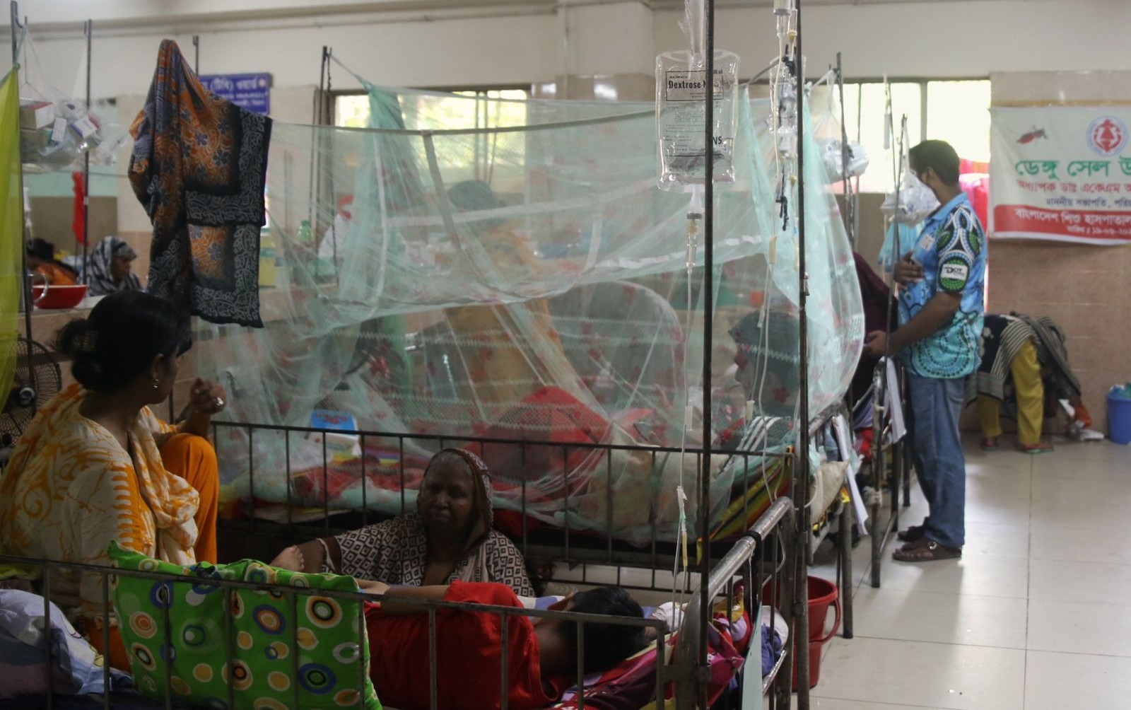 ২৪ ঘণ্টায় ডেঙ্গুতে আরও ৩ জনের মৃত্যু