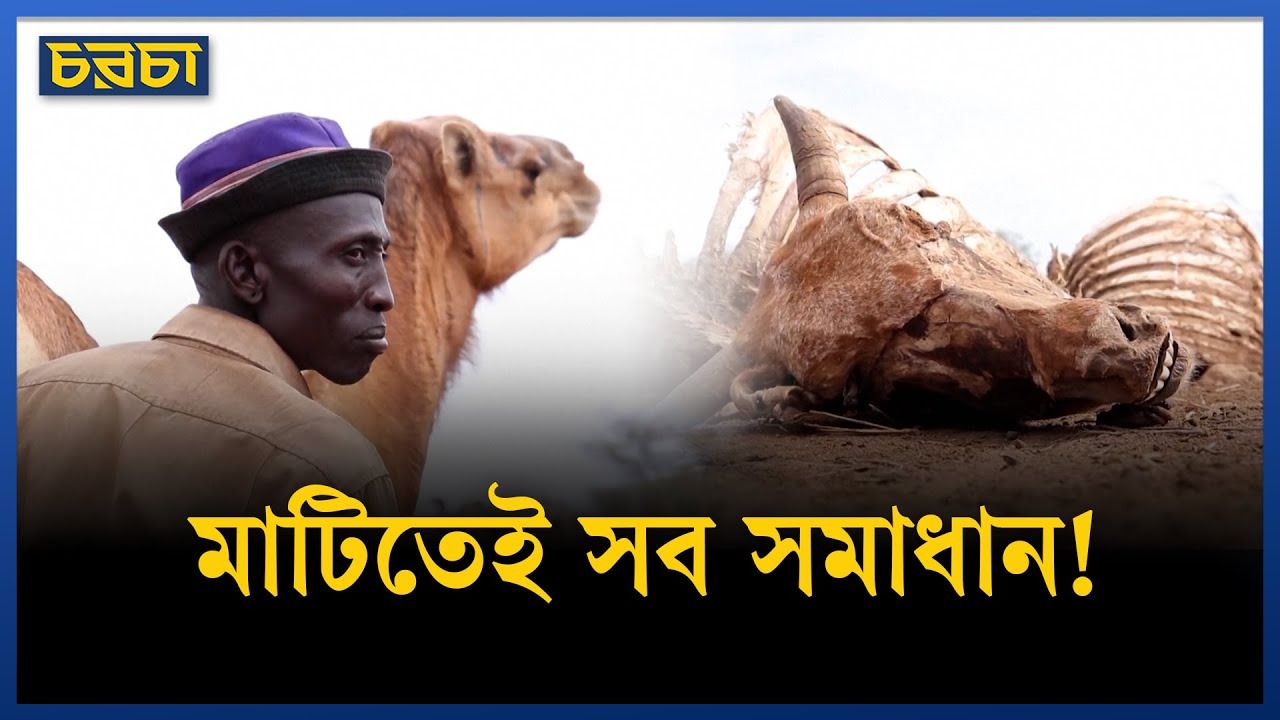 আগে মাটি বাঁচাও, এরপর পরিবেশ