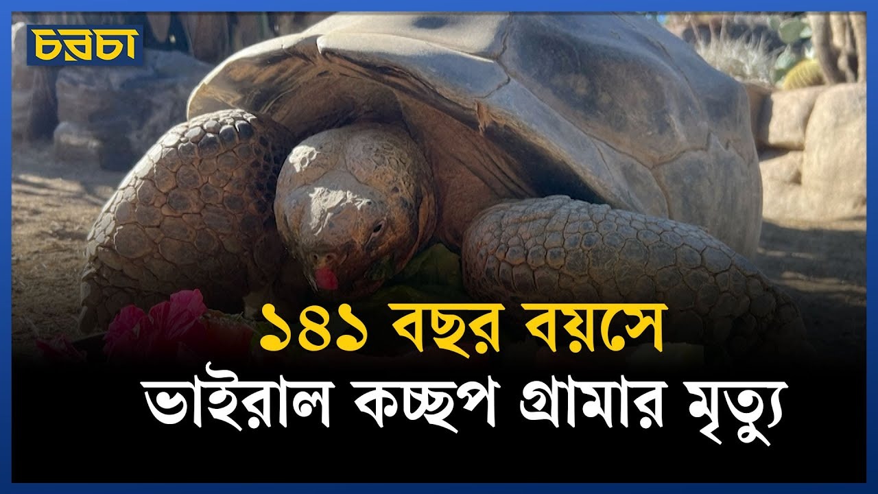 বাঁচানো গেলো না গ্রামাকে