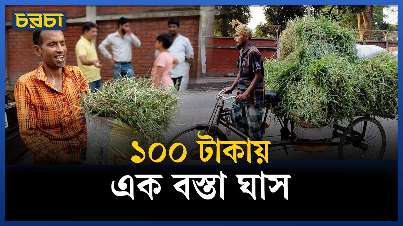 ‘ঘাস বিক্রি করে এখন পোষায় না’