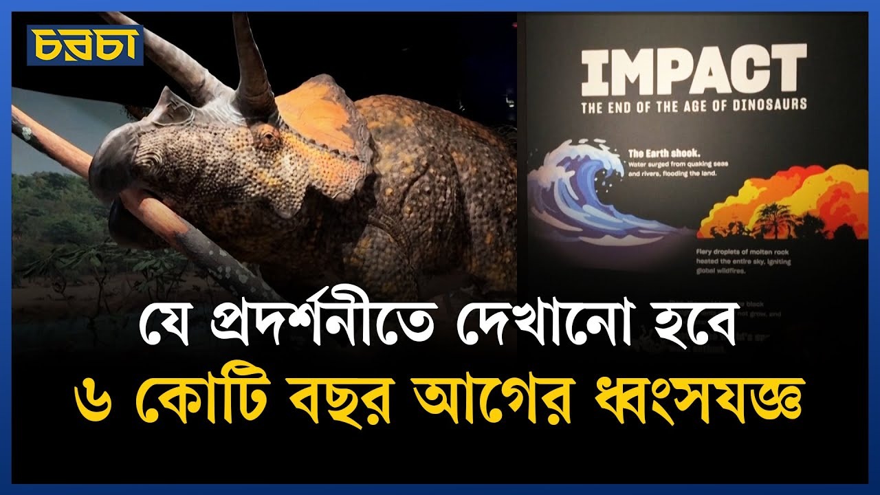 স্তন্যপায়ী প্রাণী থেকে শুরু করে মানুষের বিবর্তন দেখানো হবে যেখানে