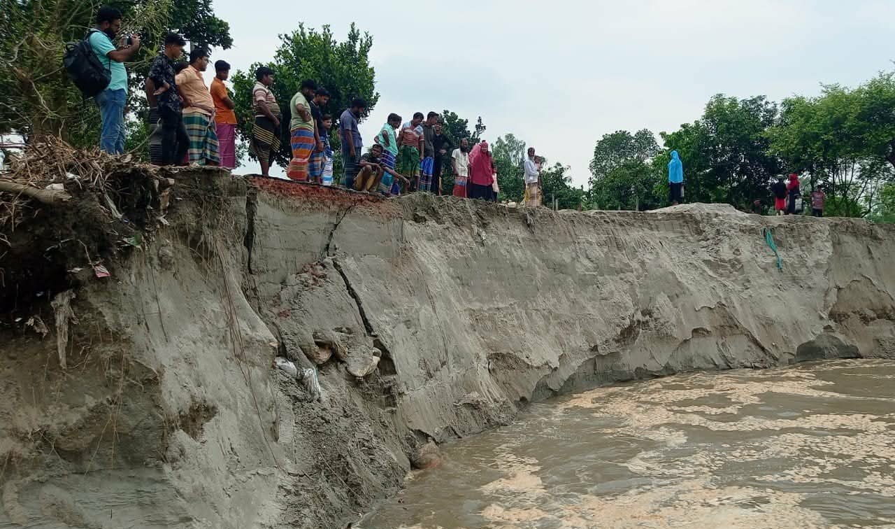 সিরাজগঞ্জে যমুনা নদীর তীব্র ভাঙনে বিলীন হচ্ছে ঘরবাড়ি ও ফসলি জমি