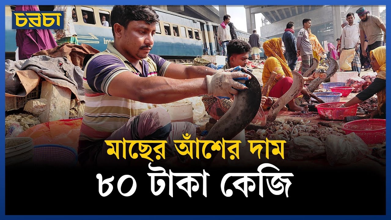 ভোর থেকে শুরু হয় মাছের পর মাছ কাটা