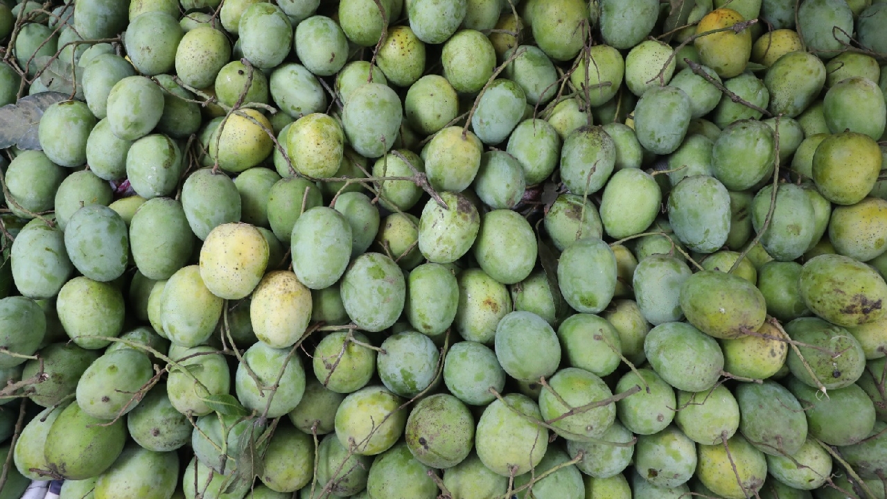 Mango 1