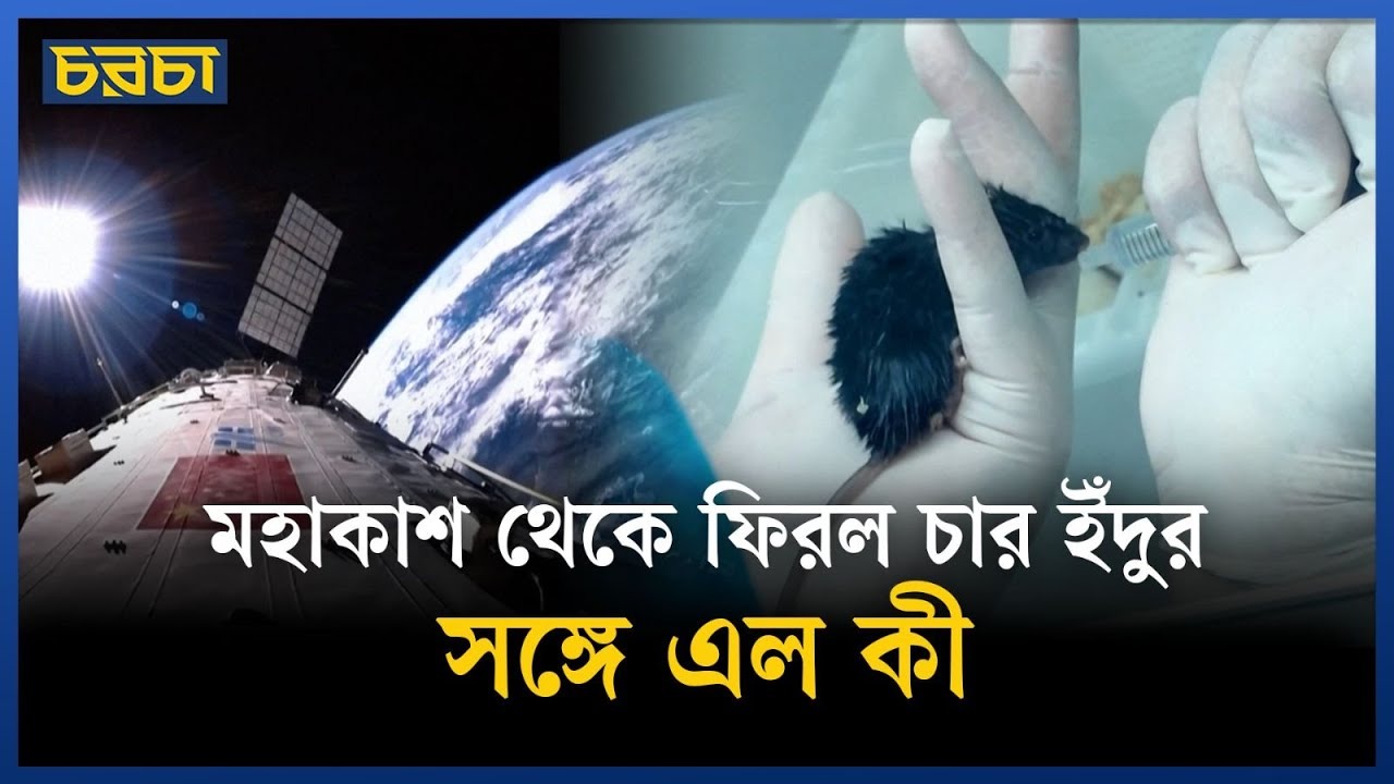 মহাকাশ থেকে অজানা তথ্য নিয়ে ফিরল ইঁদুর!
