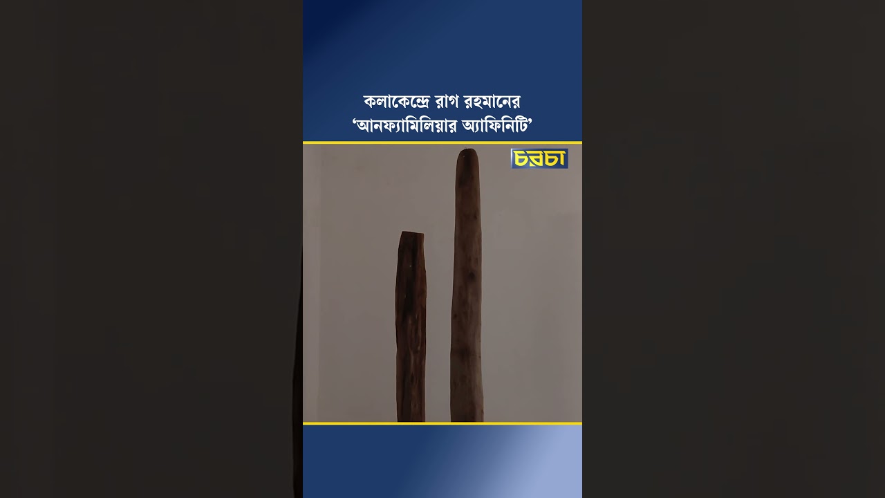 কলাকেন্দ্রে রাগ রহমানের ‘আনফ্যামিলিয়ার অ্যাফিনিটি’