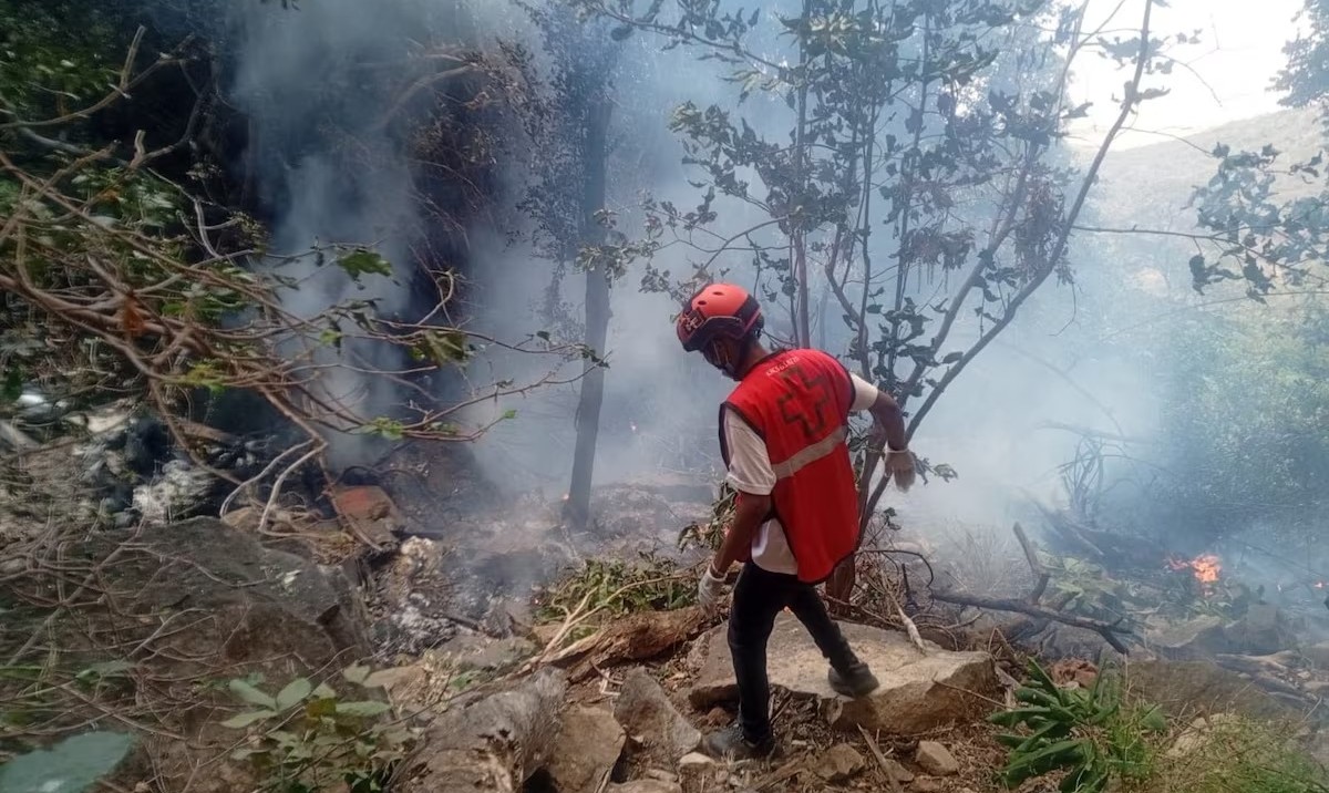 কেনিয়ায় পর্যটকবাহী হেলিকপ্টার বিধ্বস্ত, ইকুয়েডরের গোয়েন্দা প্রধানসহ নিহত ৭