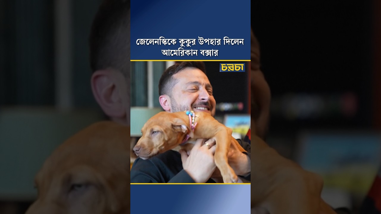 জেলেনস্কিকে কুকুর উপহার দিলেন আমেরিকান বক্সার