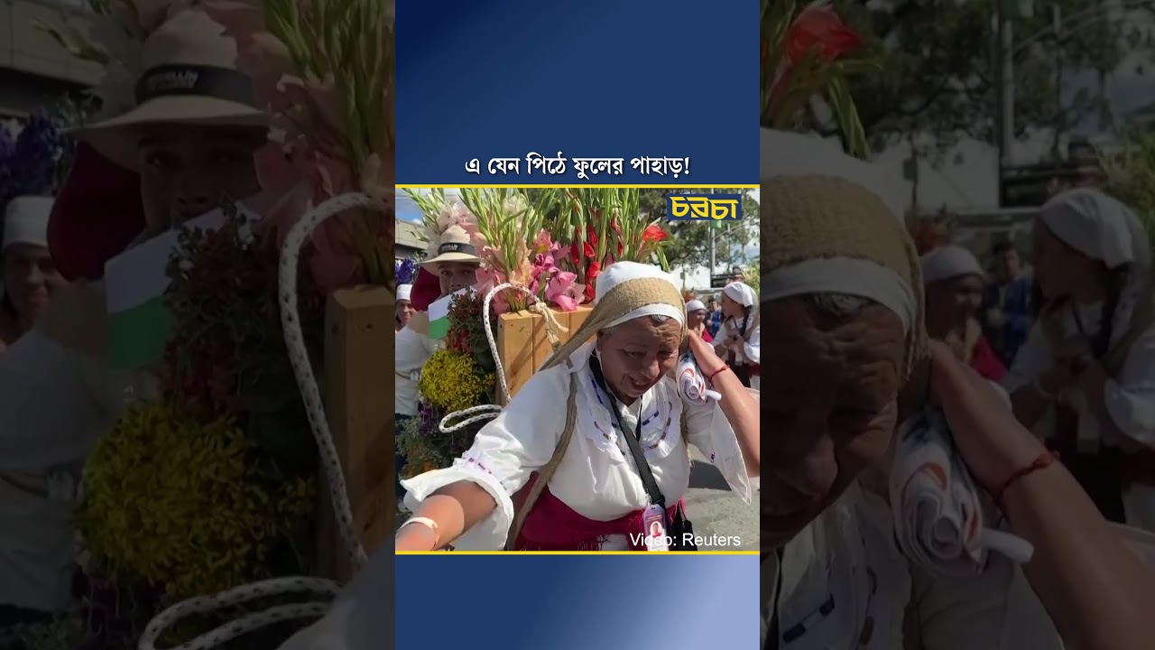 এ যেন পিঠে ফুলের পাহাড়