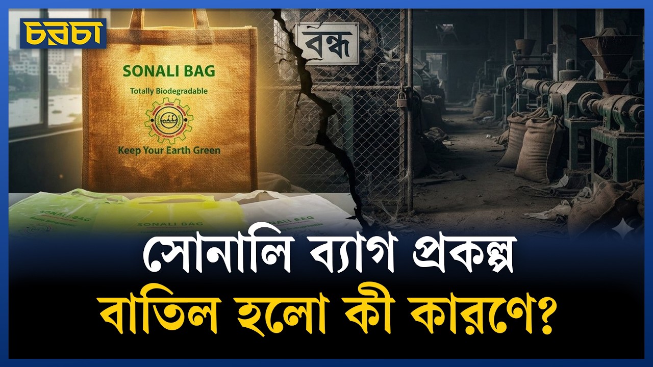 পলিথিনের বিকল্প, পাটের তৈরি সোনালি ব্যাগ কেন ছড়িয়ে দেওয়া গেল না?