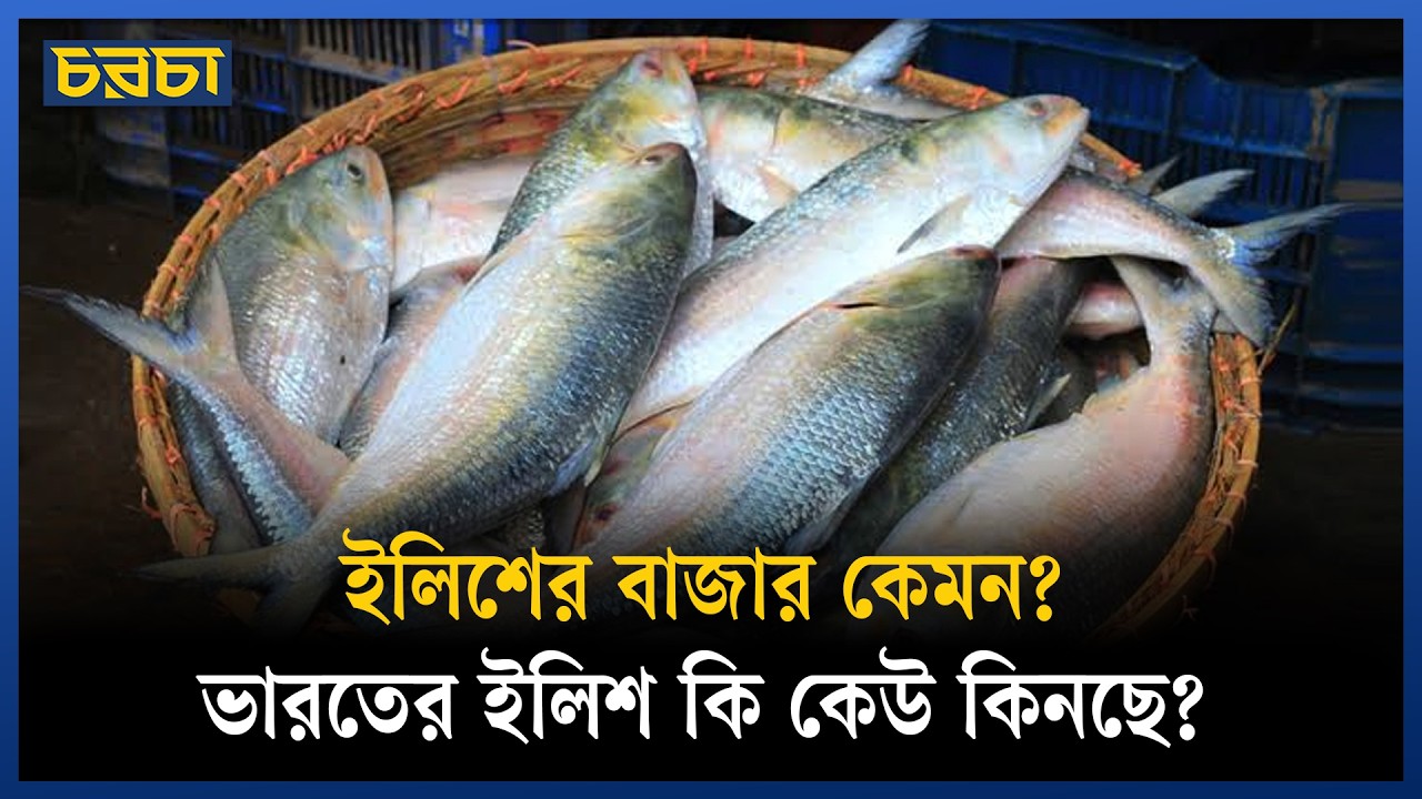 ‘প্রকৃত ব্যবসায়ীরা ভারতের ইলিশ বেচে না’