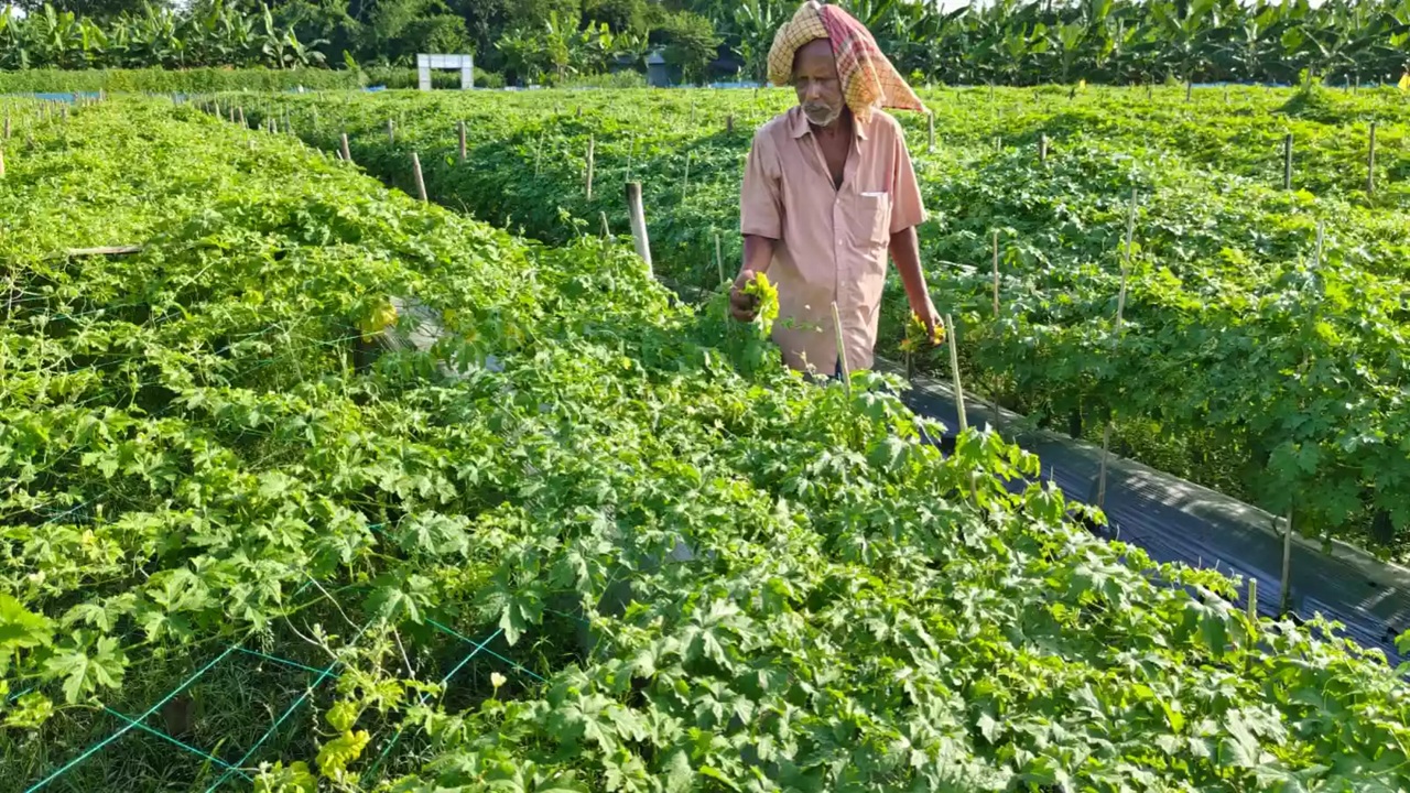 ছবি: ইউএনবি