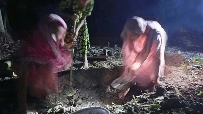 একজন মুক্তিযোদ্ধার অসম্মান: তাসনিম জারার প্রশ্ন ও বিএনপির নীরবতা