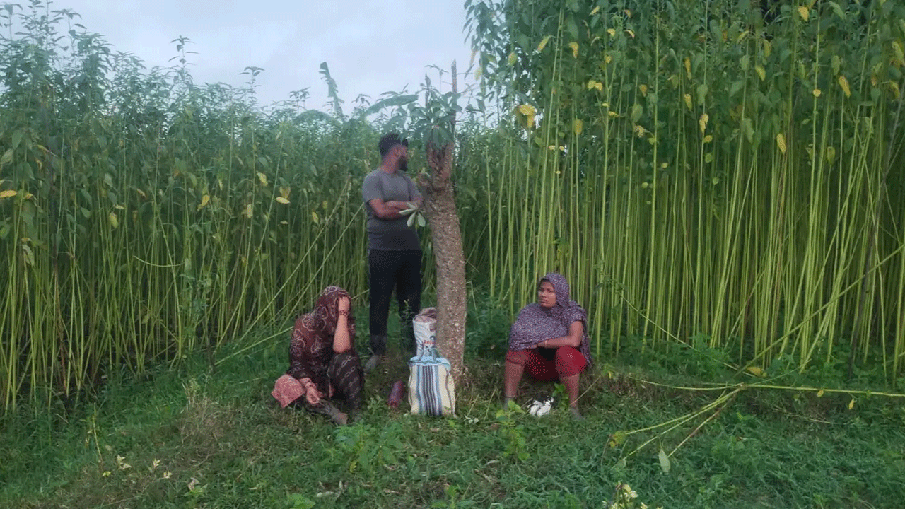 চুয়াডাঙ্গা সীমান্তে তিনজনকে পুশইনের চেষ্টা, বিজিবির বাধা