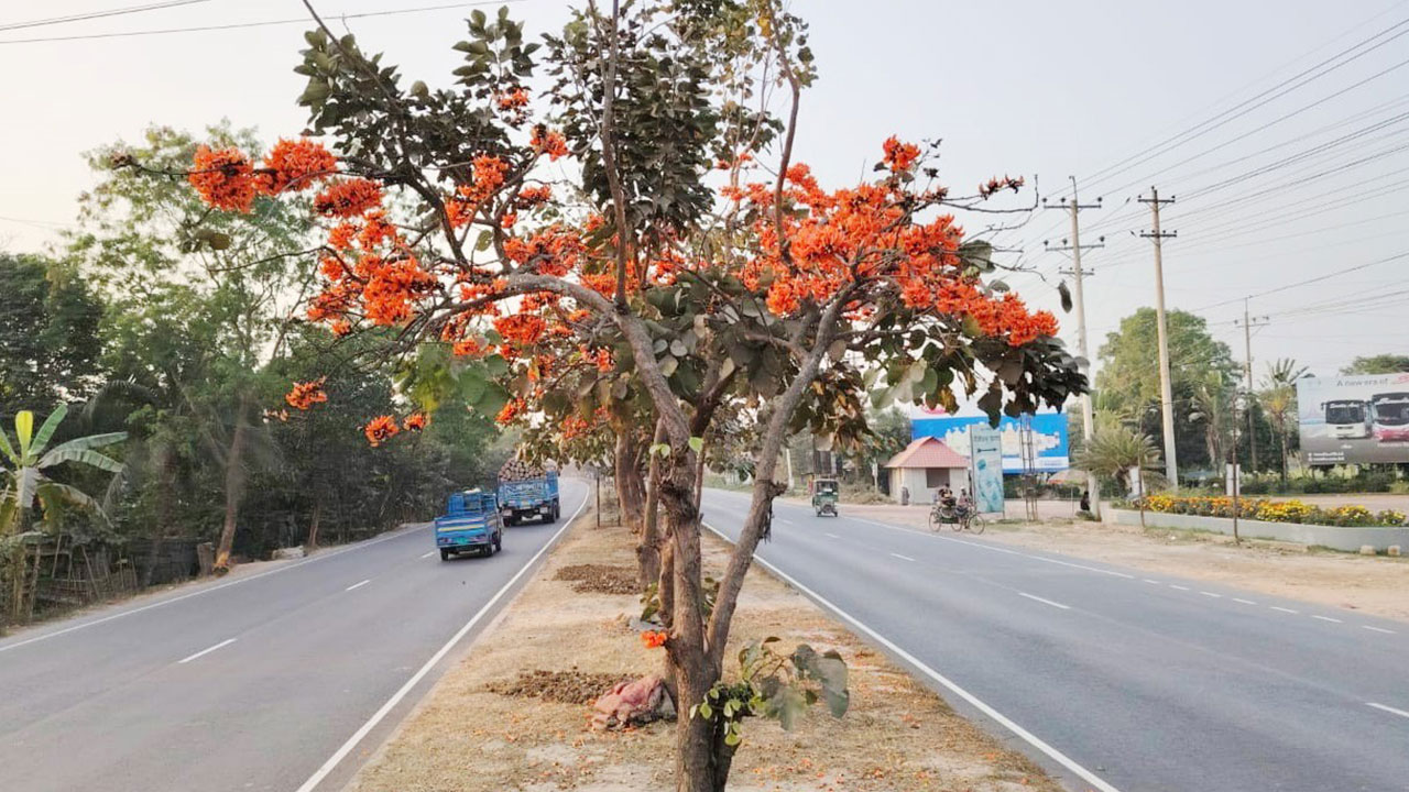 ‘অটো ফাইন সিস্টেম’ চালু হচ্ছে ঢাকা-চট্টগ্রাম মহাসড়কে
