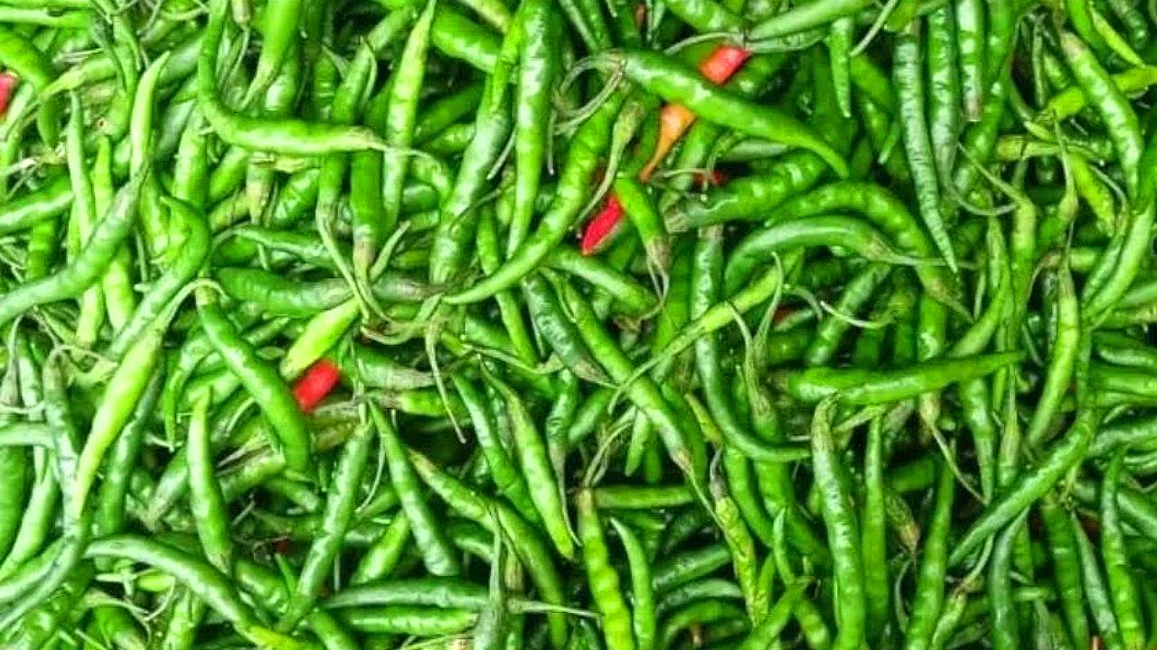 বাজার নিয়ন্ত্রণে ভারত থেকে ৯ টনের বেশি কাঁচামরিচ আমদানি
