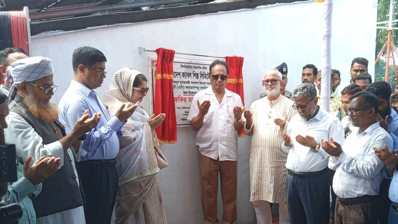 বিকল্প জ্বালানি হিসেবে সৌরবিদ্যুৎ উৎপাদনের পরিকল্পনা সরকারের: মন্ত্রী