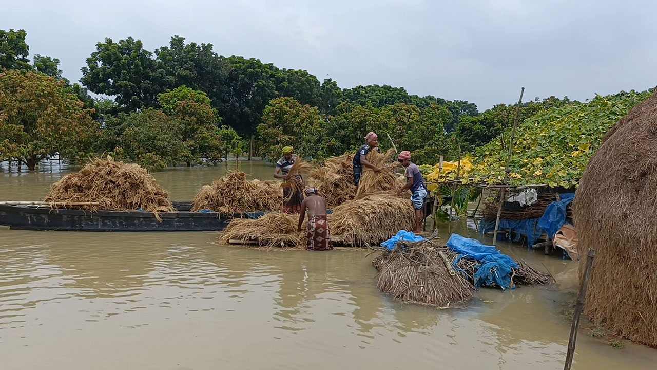 চাঁপাইনবাবগঞ্জে পদ্মার পানি কমেছে ৬ সেন্টিমিটার 
