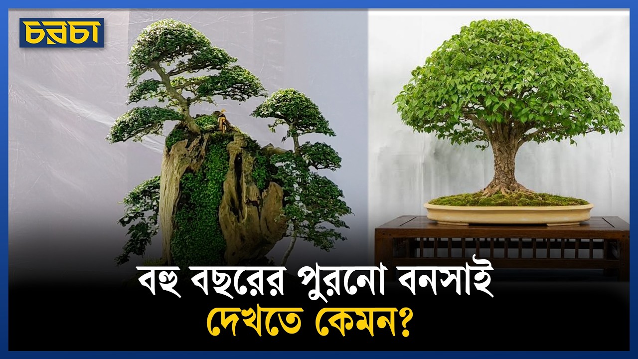 বনসাই মেলা, আছে ৩০০ দেশি, বিদেশি প্রজাতি