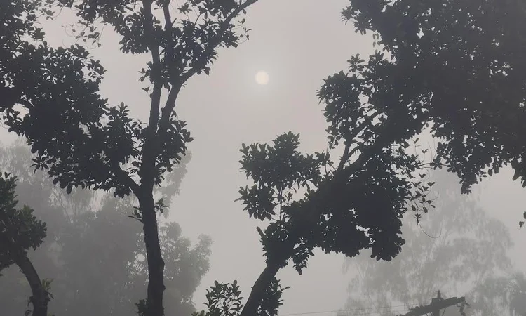 পঞ্চগড়ে তাপমাত্রা নেমেছে ১৭ ডিগ্রিতে, বাড়ছে শীতের অনুভূতি