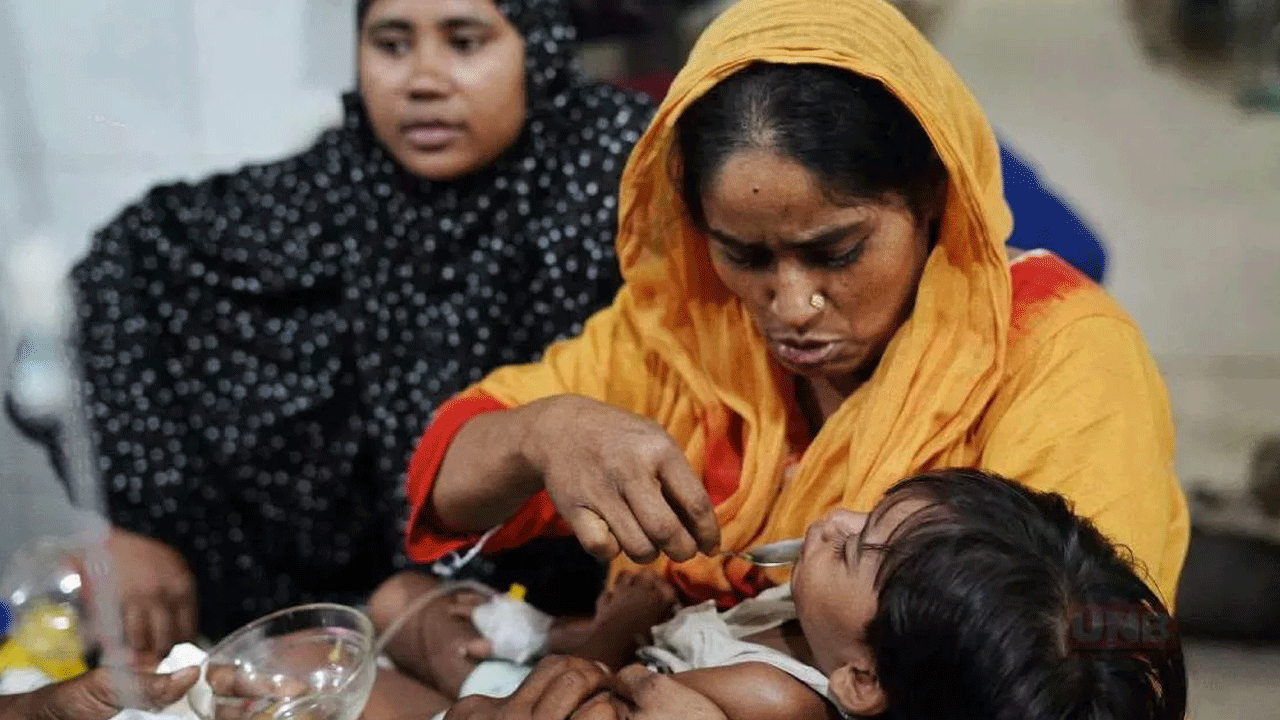 ডেঙ্গুতে ৩ মৃত্যু, হাসপাতালে নতুন ভর্তি ১২৯৯