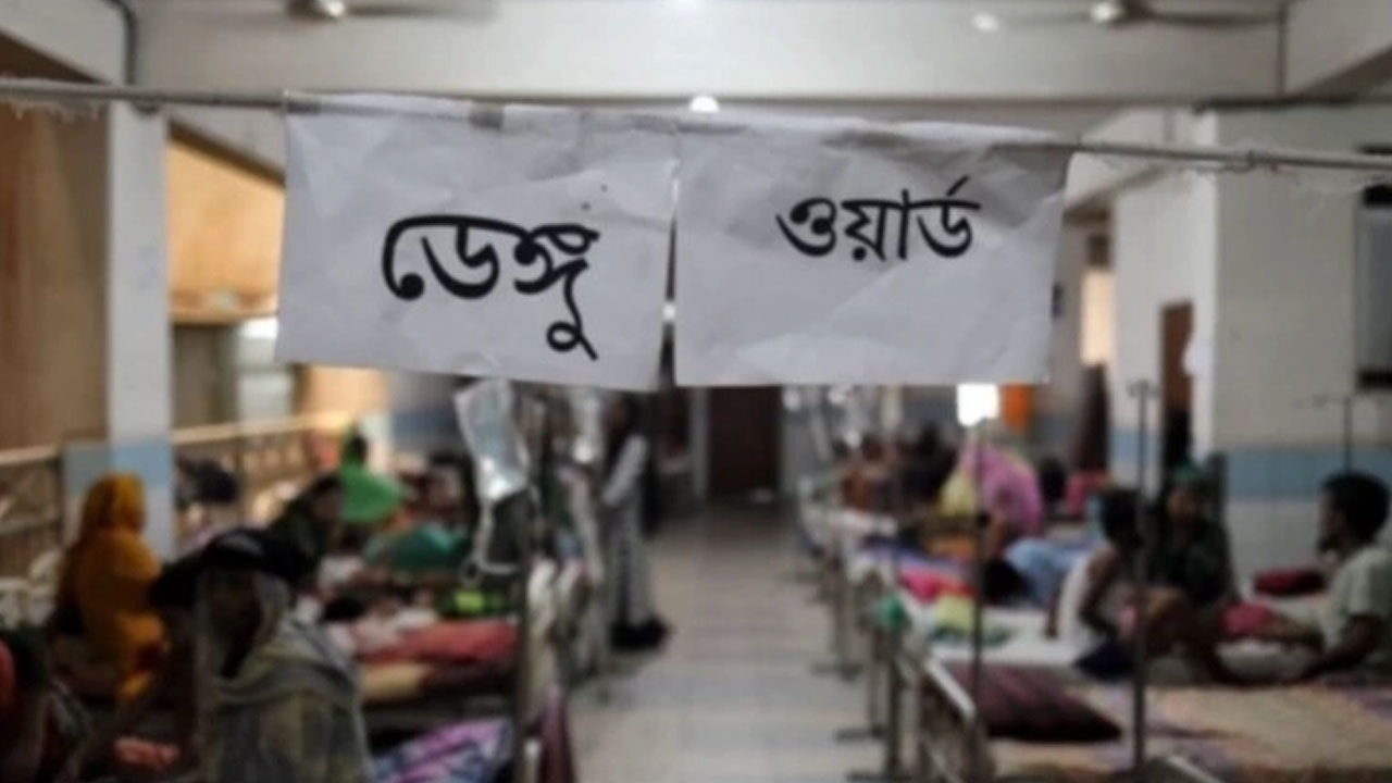 খুলনায় একদিনে হাসপাতালে ২১৫ ডেঙ্গু রোগী ভর্তি 