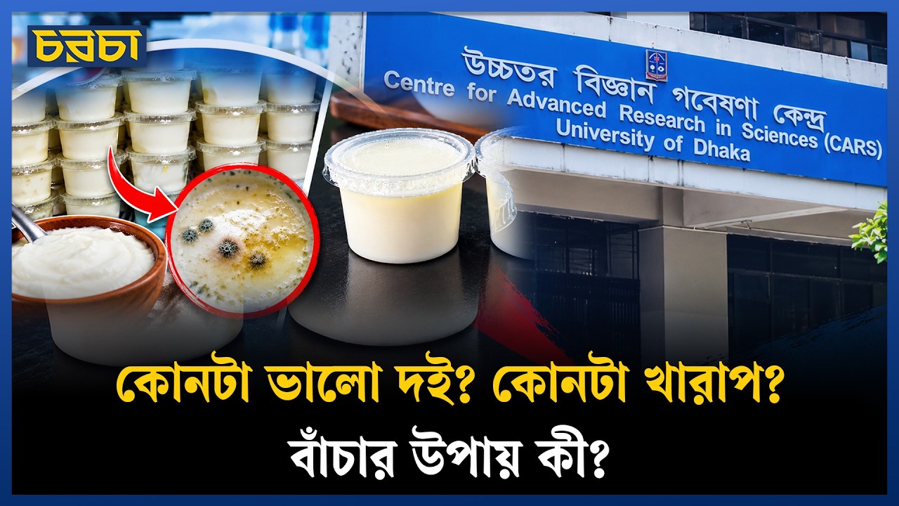 প্রচলিত দই খেয়ে কি অকার্যকর হচ্ছে অ্যান্টিবায়োটিক? বিকল্প পদ্ধতির পরামর্শ ঢাবি বিজ্ঞানীর