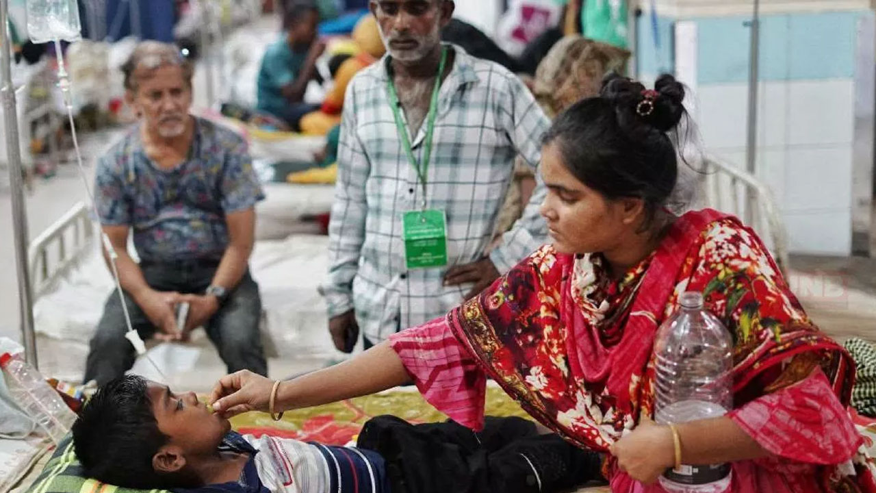 ডেঙ্গুতে ২৪ ঘণ্টায় ৪ মৃত্যু, হাসপাতালে নতুন করে ভর্তি ১৮৫১