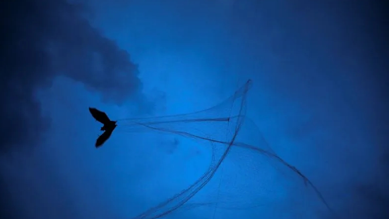 পশ্চিমবঙ্গে নিপাহ ভাইরাস শনাক্ত, আতঙ্কে স্থানীয়রা