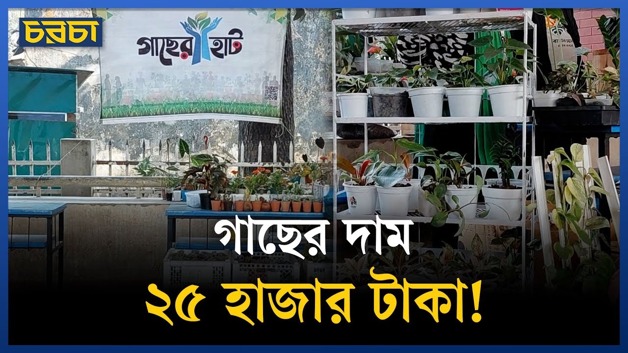 জমে উঠেছে অর্নামেন্টাল গাছের মেলা