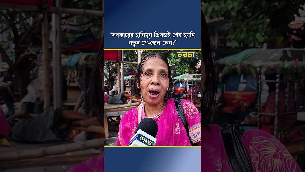 ‘সরকারের হানিমুন প্রিয়ডই শেষ হয়নি, নতুন পে-স্কেল কেন?’
