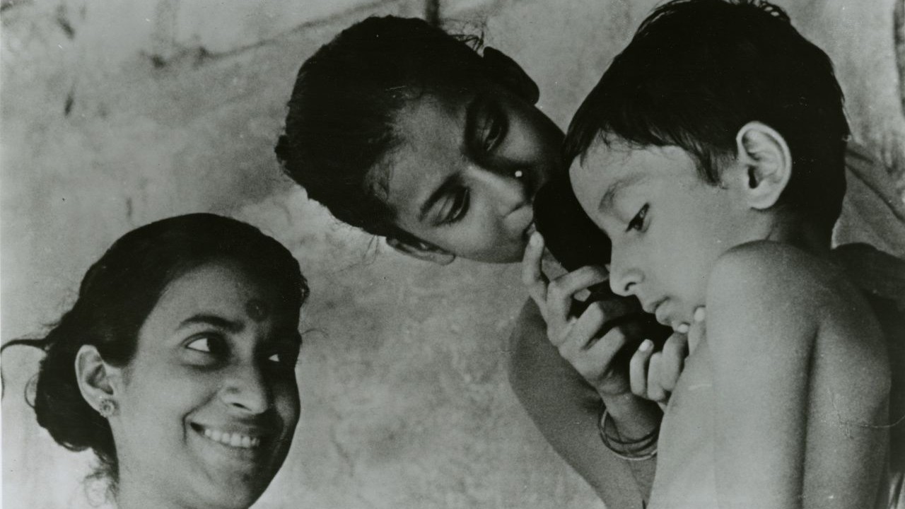পথের পাঁচালী। ছবি: উইকিমিডিয়া কমনস