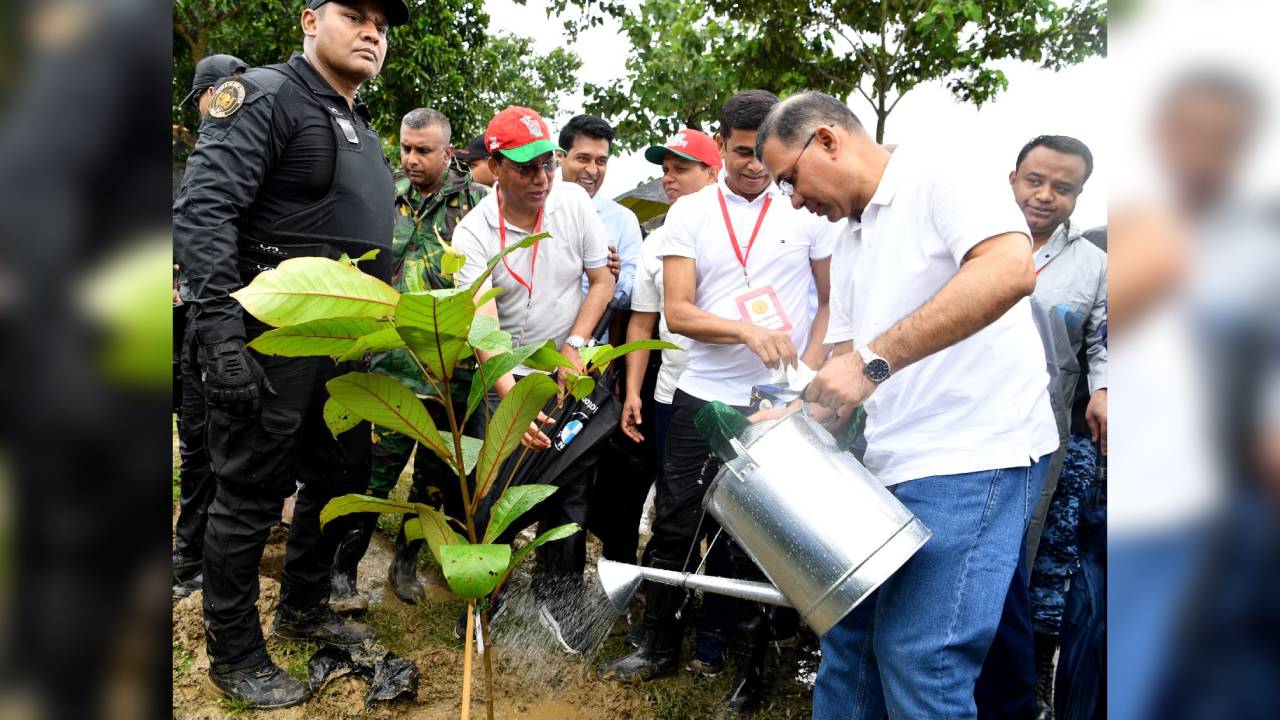 কক্সবাজারে খাল পুনঃখনন ও বৃক্ষরোপণ কর্মসূচি উদ্বোধন করলেন প্রধানমন্ত্রী