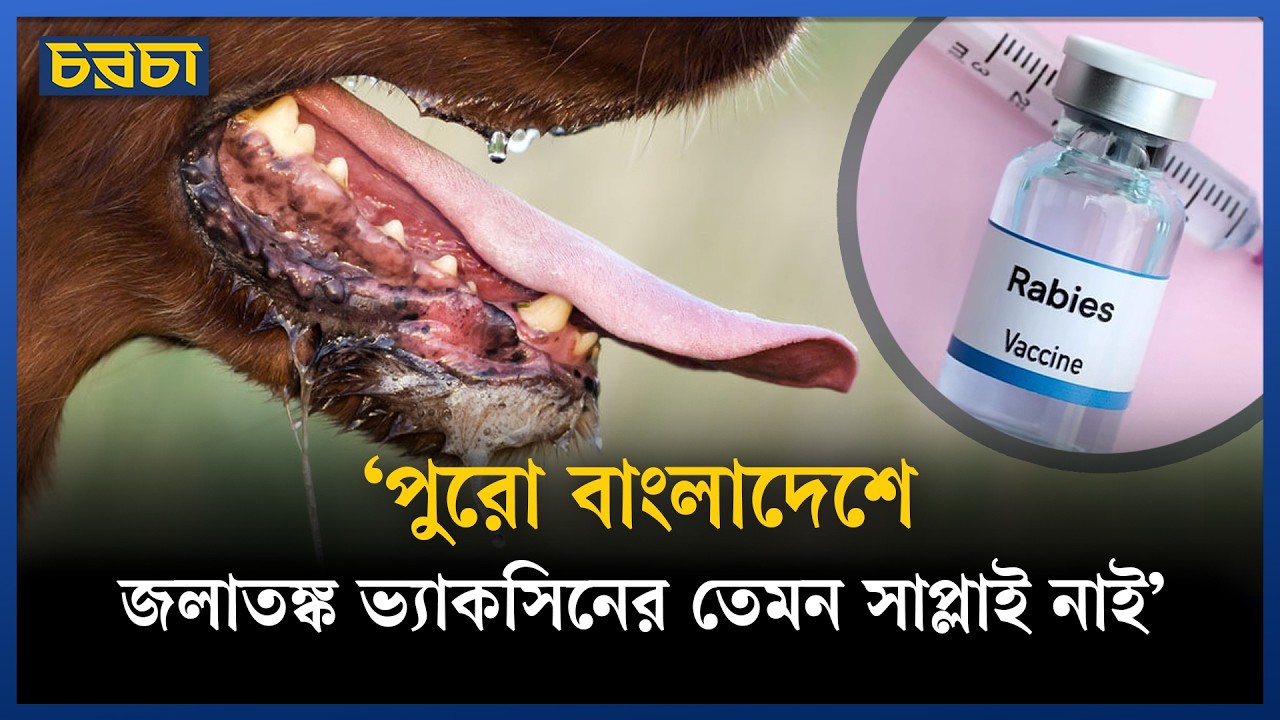 ৪-৫ বছরের মধ্যে পথকুকুরগুলোকে ভ্যাকসিন দেওয়া হয়নি