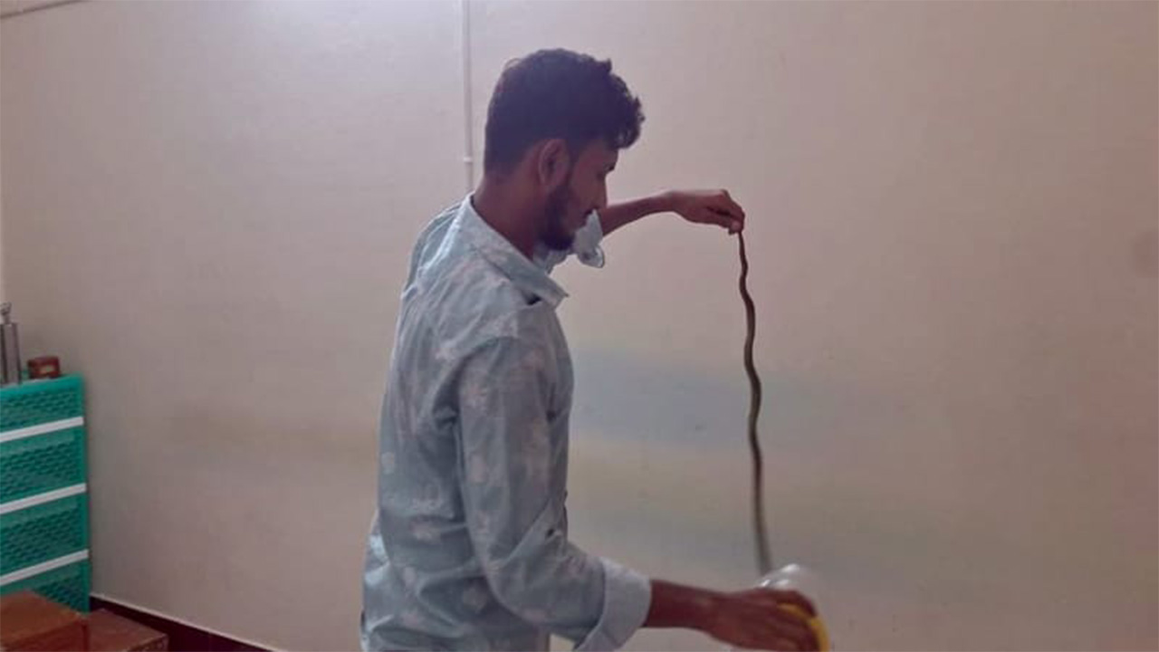 বরিশালে ক্লিনিকের এসি খুলতেই বের হলো সাপ