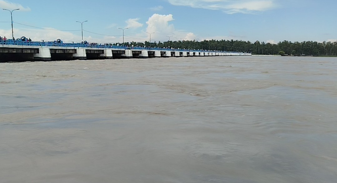 আবারও বাড়ছে তিস্তার পানি, বন্যার শঙ্কায় কৃষকেরা