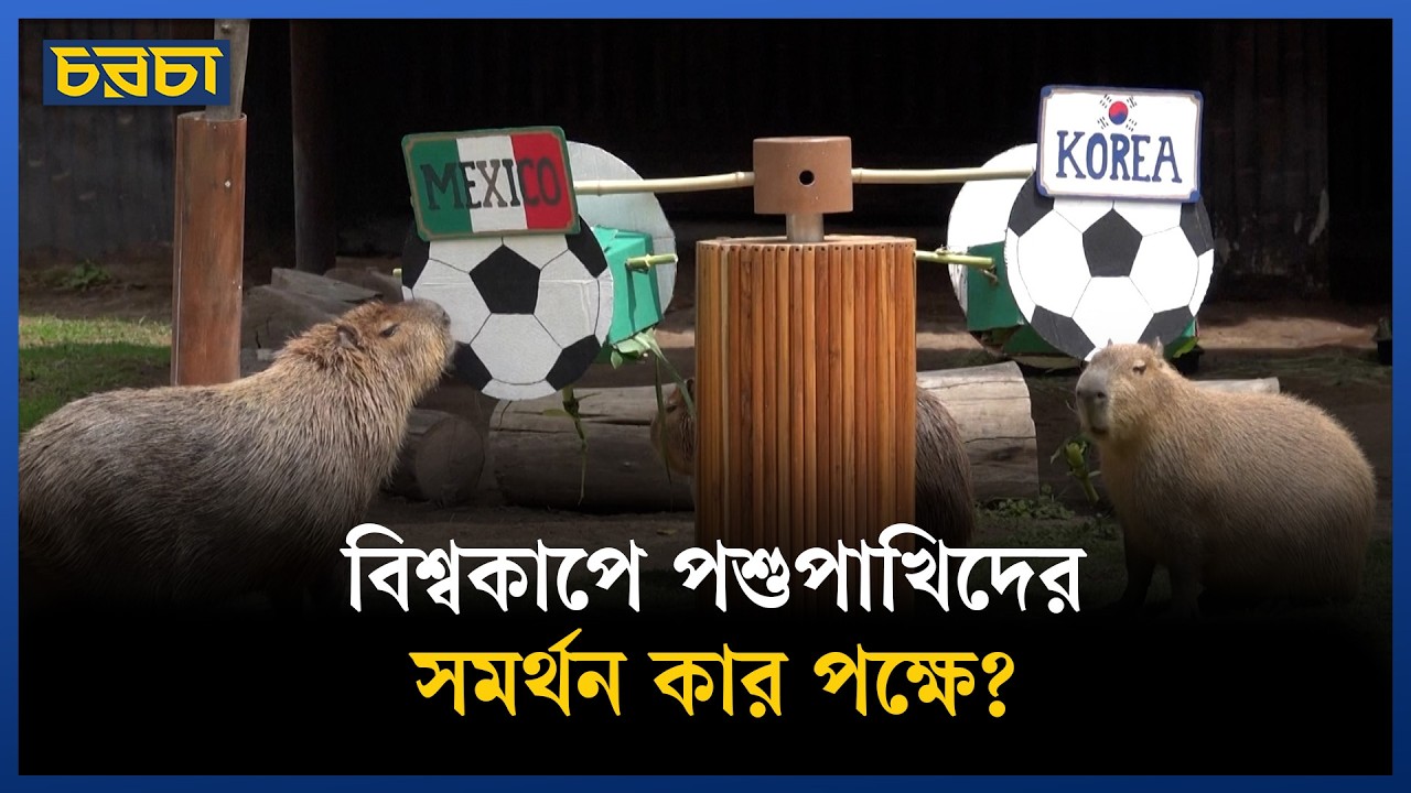 কে হবে এবারের বিশ্বকাপের বিজয়ী?