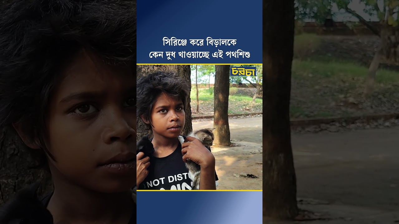 সিরিঞ্জে করে বিড়ালকে কেন দুধ খাওয়াচ্ছে এই পথশিশু