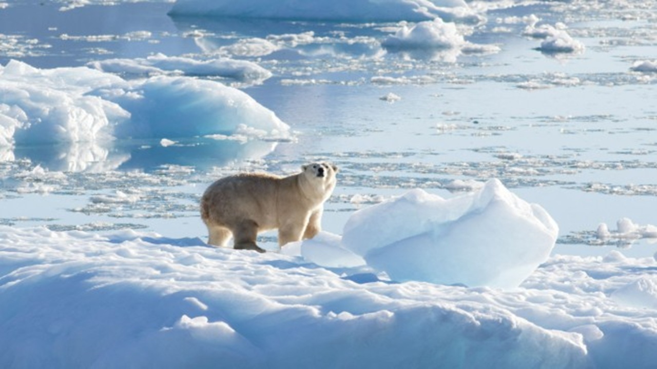 আর্কটিকে গলা বরফ যেভাবে বদলে দিচ্ছে ভূরাজনীতি