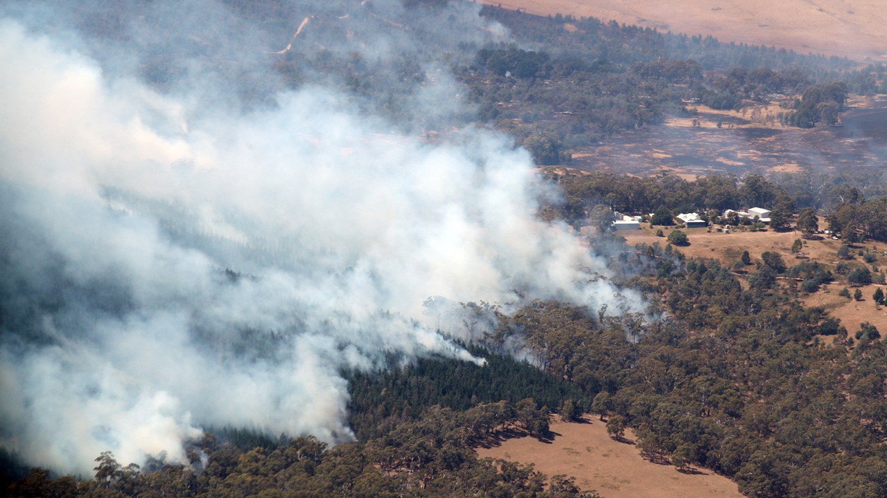 অস্ট্রেলিয়ায় ভয়াবহ দাবানলে নিহত ১, পুড়ে ছাই ৩০০ ঘর