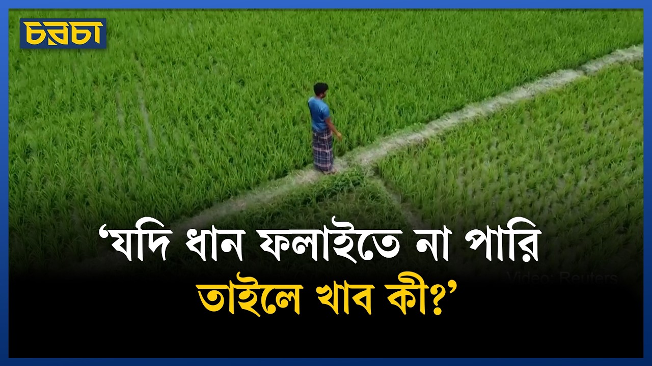 ডিজেল নিয়ে কতটা সংকটে বাংলাদেশের কৃষকরা